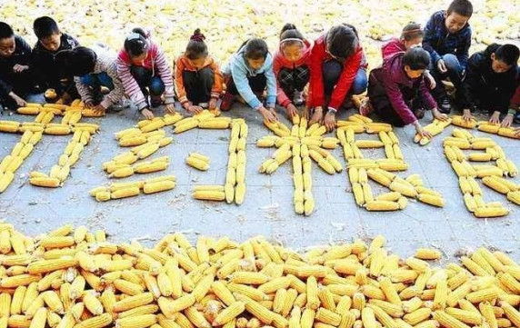 制止餐飲浪費問題從餐飲品牌店做起 制止餐飲浪費問題從餐飲品牌店做起