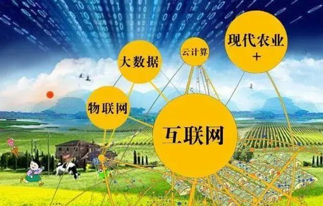 農業(yè)商業(yè)模式有哪些_農業(yè)商業(yè)模式創(chuàng)新