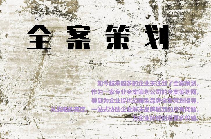專業(yè)全案策劃網(wǎng)，為企業(yè)提供戰(zhàn)略型品牌全案策劃指導(dǎo)