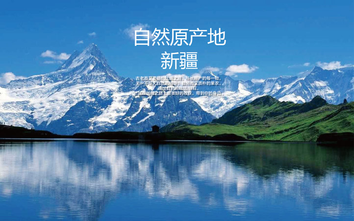有機農(nóng)產(chǎn)品品牌策劃