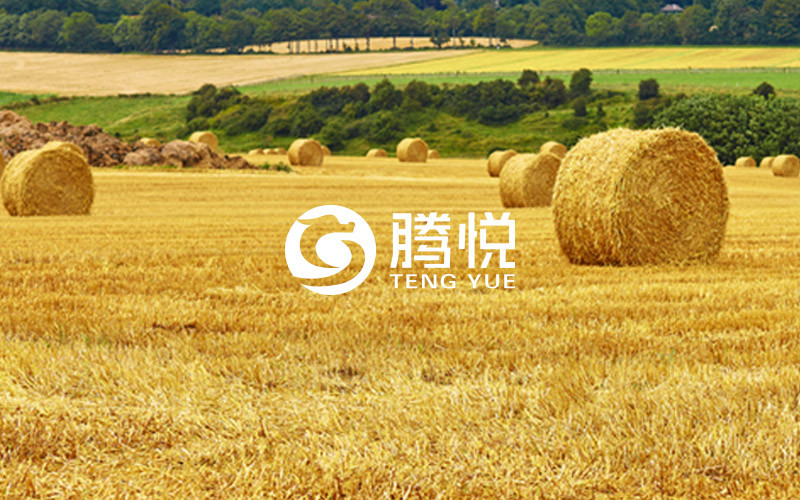 肥料品牌策劃，騰悅肥料