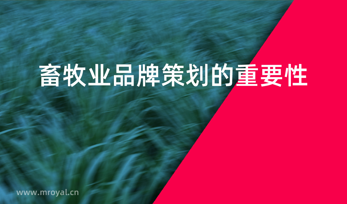 畜牧業(yè)品牌策劃的重要性，畜牧業(yè)品牌化是提高市場(chǎng)占有率重要手段